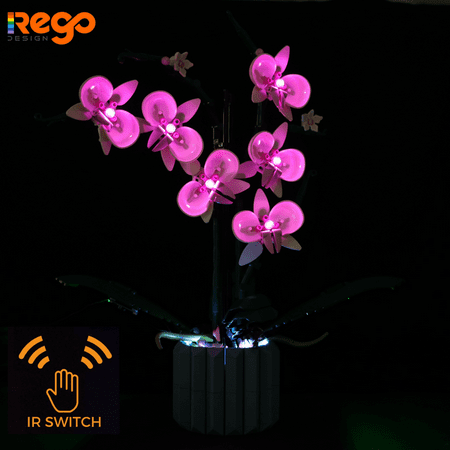 REGO DESIGN LED Creative Lighting Building Kit Set for IR Switch 10311 Plant Decor Building Set - Led Lighting Building Set Compatible with Lego Building Blocks Model (Lego not Included, Only Lights)