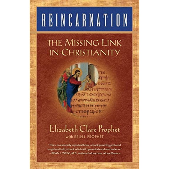 Pre-Owned Reincarnation: The Missing Link In Christianity (Paperback) 0922729271 9780922729272