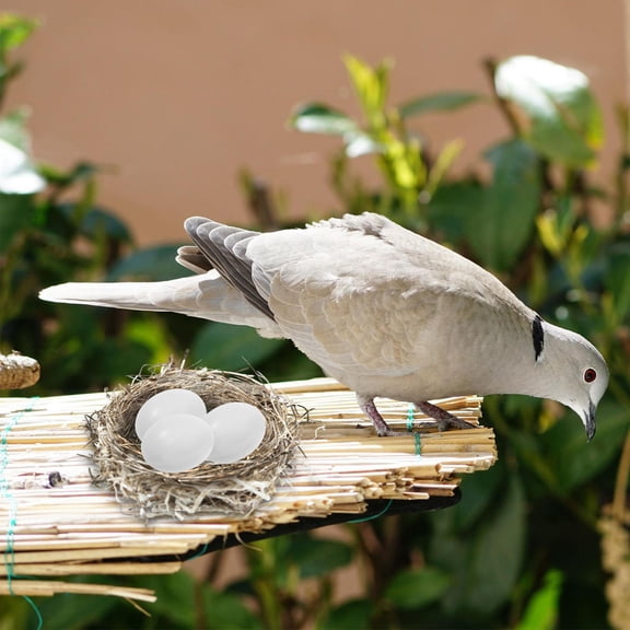 RENACLIPY 10Pcs Lifelike White Artificial Bird Eggs Plastic Bird Laying Prop for Decoration