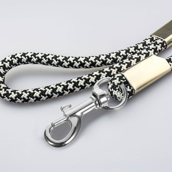 RENACLIPY 10Pcs Small Swivel Snap Hooks Stainless Steel Clasp for Dog Chain Replacement