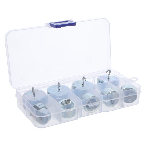 RENACLIPY 1 Set High Precision Lab Weight Set with Hooks for Accurate Scale Calibration and Experiments