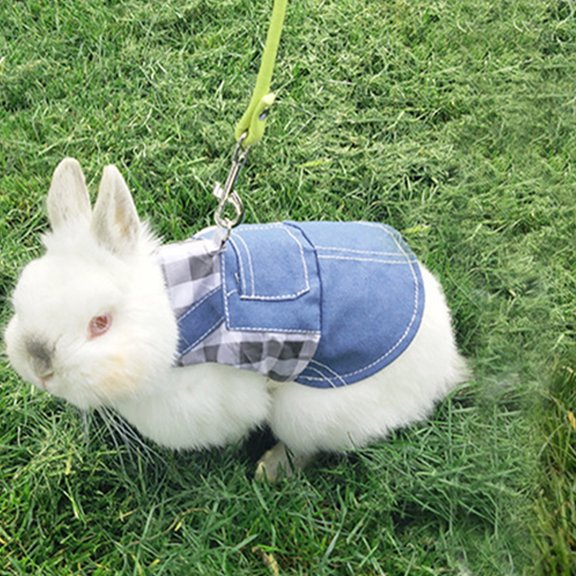 RENACLIPY 1Set Small Pet Traction Rope and Harness for Rabbit Ferret Hamster Blue Lightweight Fabric