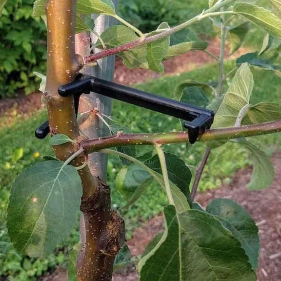 RENACLIPY 20Pcs Plastic Limb Spreaders for Fruit Trees Durable Branch Benders for Tree Training