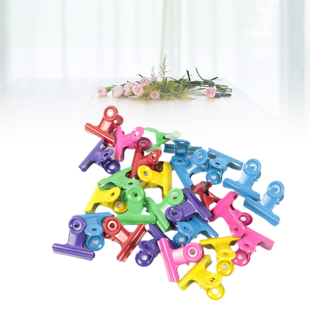 RENACLIPY 24Pack Bag Clips for Chips Metal Assorted Color Clips for ...