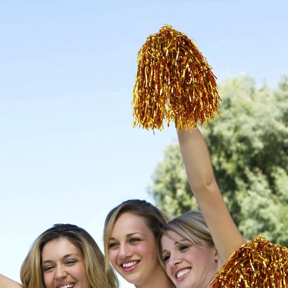 RENACLIPY 28Pcs Bulk Assorted Color Pom Poms with Handles for Cheerleading Dance Gymnastics and Team Sports