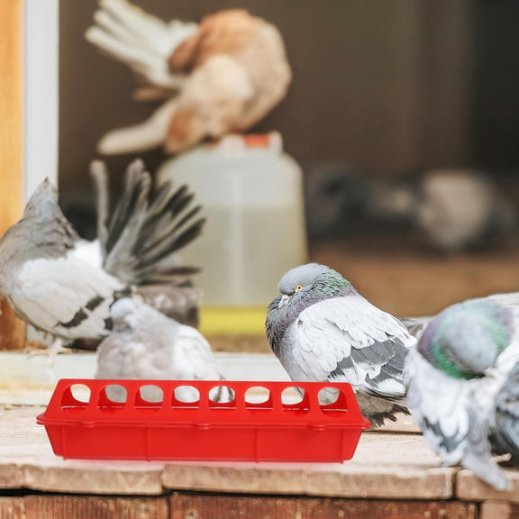 RENACLIPY Sturdy Pigeon Feeding Trough Red Plastic Simple Installation