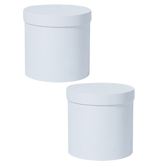 RENACLIPY 2Pcs White Flower Boxes for Valentine Floral Arrangement and Decorative Storage
