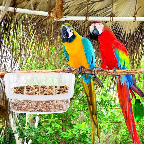 RENACLIPY Transparent Plastic Outdoor Parrot Feeder Easy to Clean for Home 2Pcs