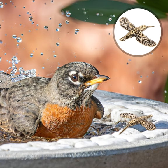 RENACLIPY Set of 3 Golden Brass Bird Bath Purification Disks for Outdoor Patio Garden Decor Accessories