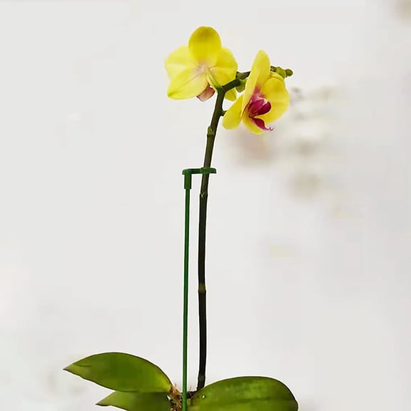 RENACLIPY Sturdy Garden Orchid Stake Plant Support Rod 40-Pcs Set 37cm Protection