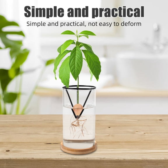 RENACLIPY Growing Fruit Rack for Plant Enthusiasts Black 4Pcs