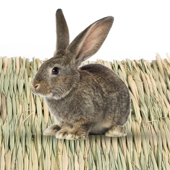 RENACLIPY 5Pcs Rabbit Straw Mat Natural Green Woven Bed Mat for Small Pets and Guinea Pigs
