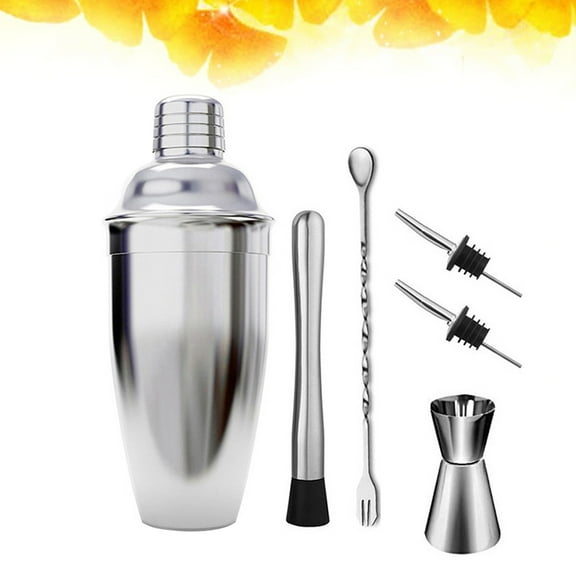 RENACLIPY Stainless Steel Cocktail Shaker Kit Silver for Bar Mixologist 6Pcs