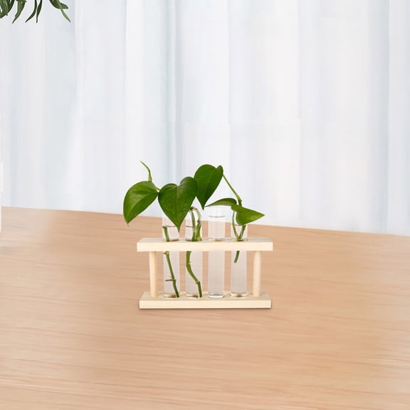 RENACLIPY 6-Pack Clear Plastic Flower Tubes for Plant Propagation and Desktop Vase, Ideal for Growing and Displaying Plants