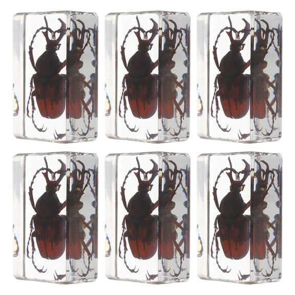 RENACLIPY Realistic Resin Insect Specimens Variety of Beetle Spider Scorpion for Home Decor 6Pcs