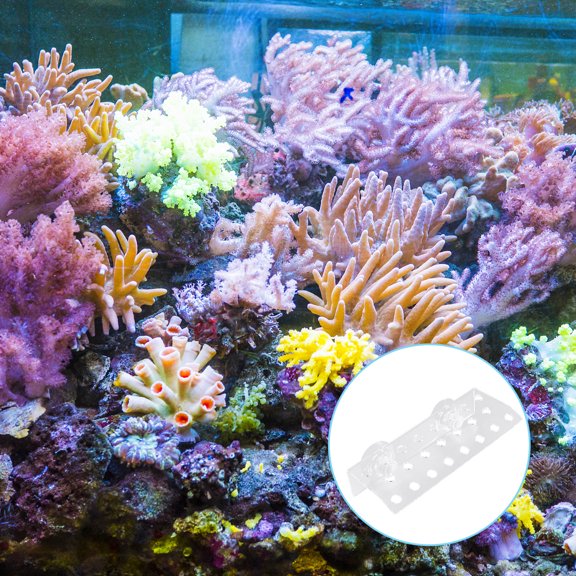 RENACLIPY Aquarium Coral Frag Rack Acrylic Clear Support Holder Curved Design for Frag Plugs