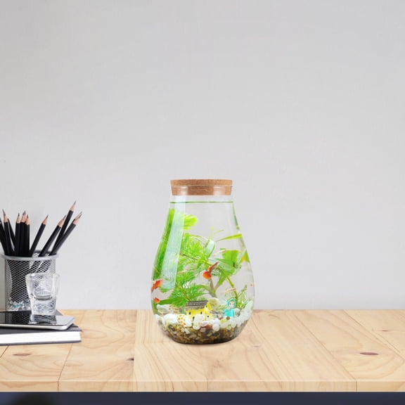 RENACLIPY Glass Plant Propagation Station Terrarium with Colorful Options for Indoor Plant Decoration and Home Gardening