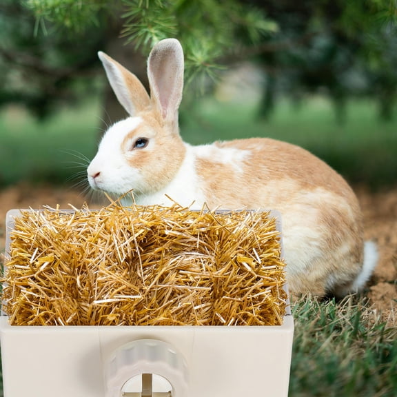 RENACLIPY Beige Small Pet Bowl with Sturdy Non-Tip Design, Perfect for Hamsters, Guinea Pigs, and Small Pets
