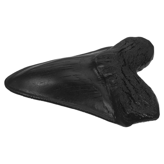 RENACLIPY Black Resin Shark Tooth Ornament with Vintage Look for Table Shelf and Desktop Display