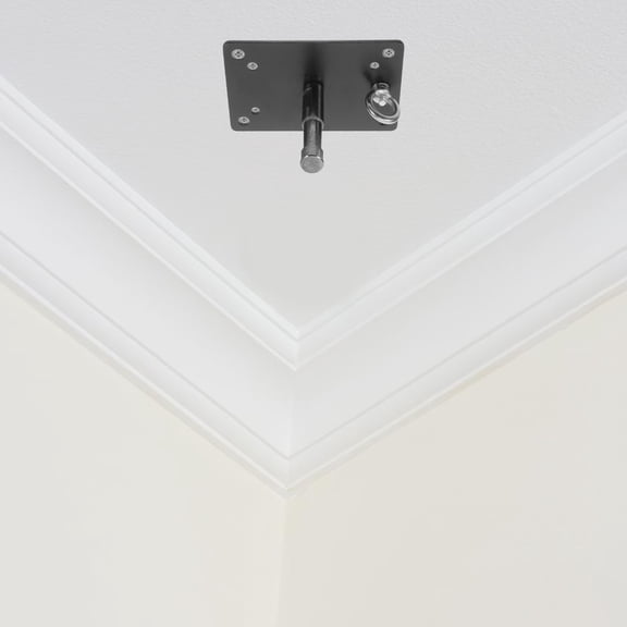 RENACLIPY Heavy Duty Black Stainless Steel Wall Plate Ceiling Mount for Lighting Fixtures, 1 Pack, and Easy to Install