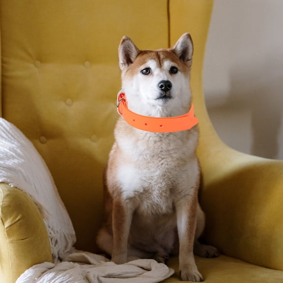 RENACLIPY Dog Collars Medium Sized Dog PVC Orange for Daily Use 1Set