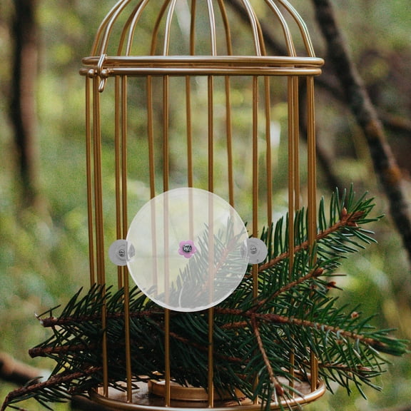 RENACLIPY Acrylic Parrot Foraging Toy Container - Interactive Bird Toy for Pet Parrots and Small Birds to Encourage Play