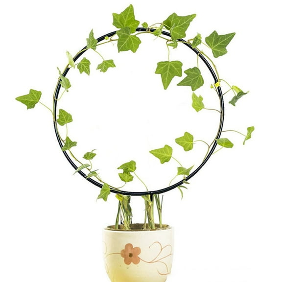 RENACLIPY Round Garden Trellis for Climbing Plants, Black Metal Plant Support Frame, Outdoor Plant Cage 1 Piece