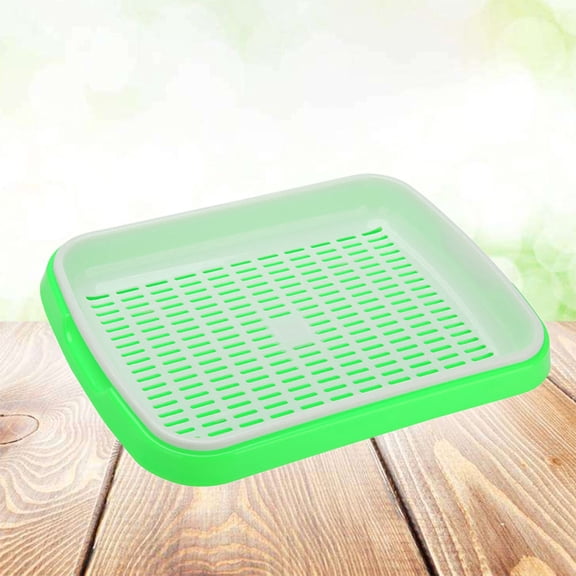 RENACLIPY Growing Tray with Dense Small Holes for Sprouting Seeds Green Storage Tray