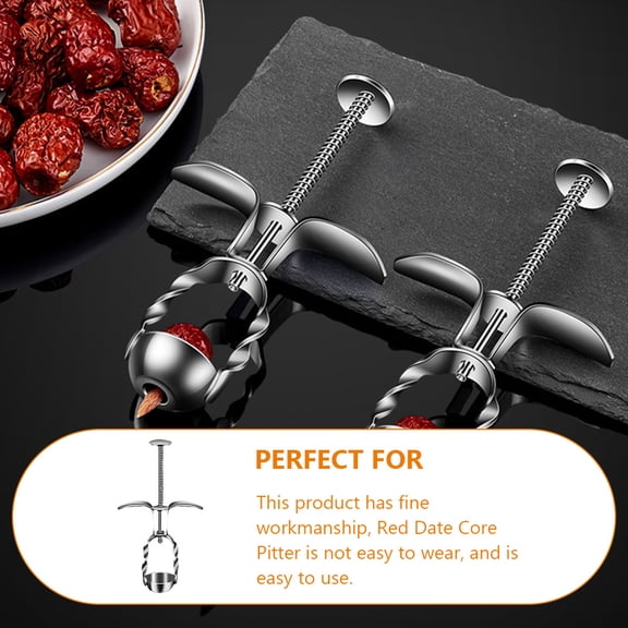 RENACLIPY Metal Cherry Core Remover Tool for Red Date and Fruit Pit Removal Plated Silver