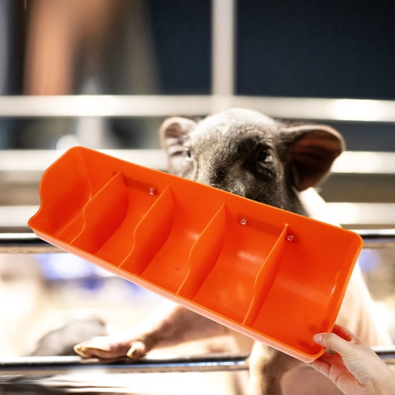 RENACLIPY Orange Mountable Pig Feeder Multi Compartments Livestock Feeding Trough