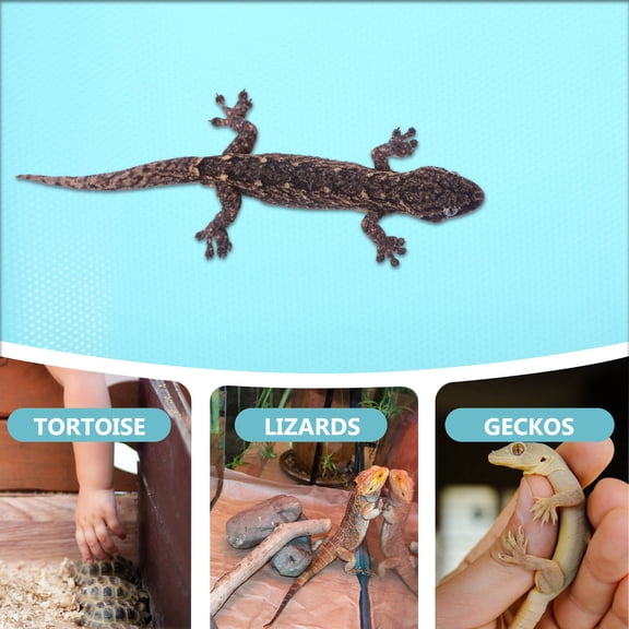 RENACLIPY Sky Reptile Terrarium Carpet Mat, Soft EVA Substrate, Foldable, Lightweight, Portable Habitat Flooring