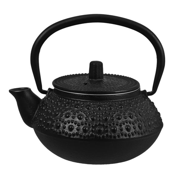RENACLIPY Tea Kettle Stovetop with Infuser Cast Iron Teapot Simple Black 1Pcs