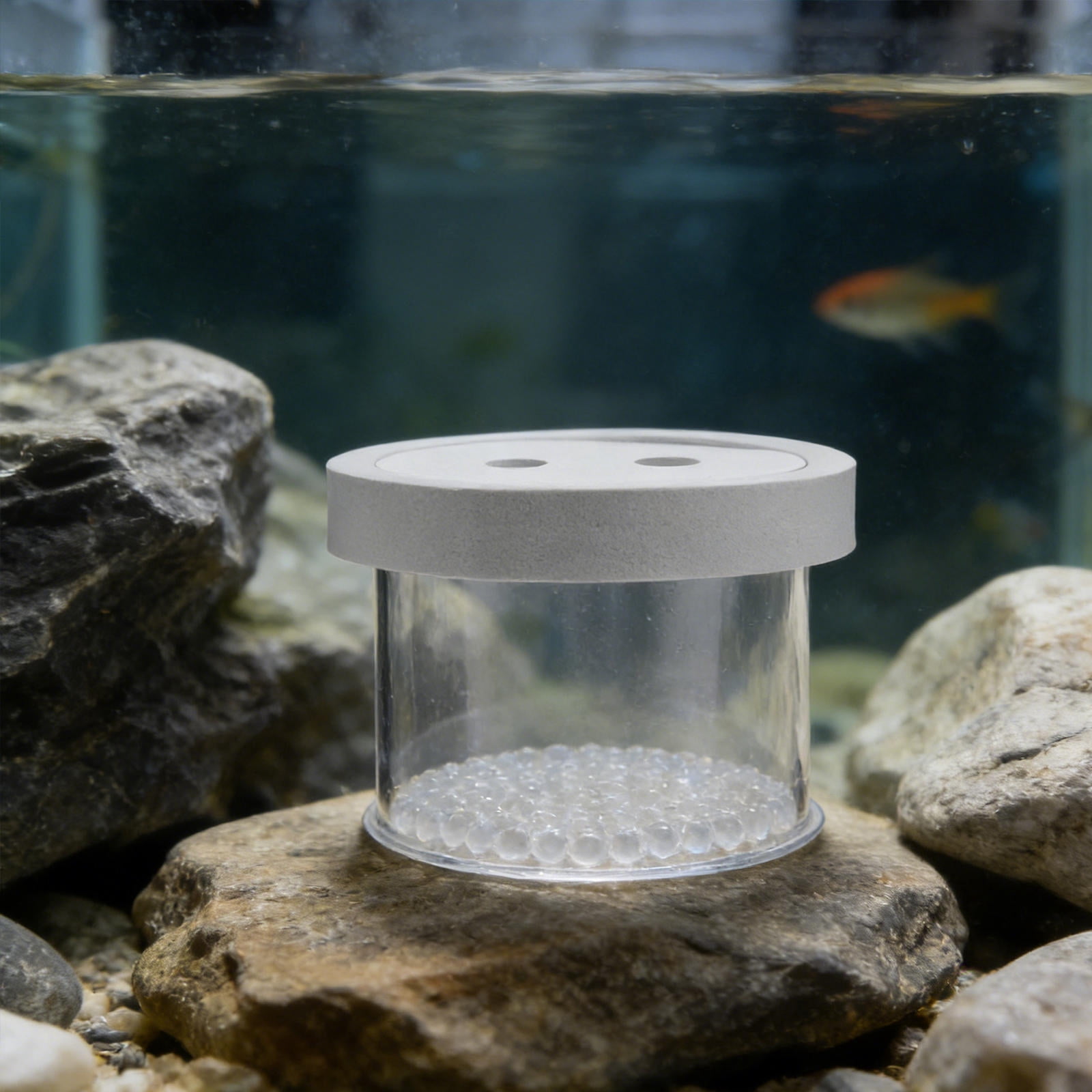 clear floating box for fish tank RENACLIPY Clear Floating Fish Breeding Box with Lid for Aquarium, Safe  Isolation and Easy Observation of Fish Fry