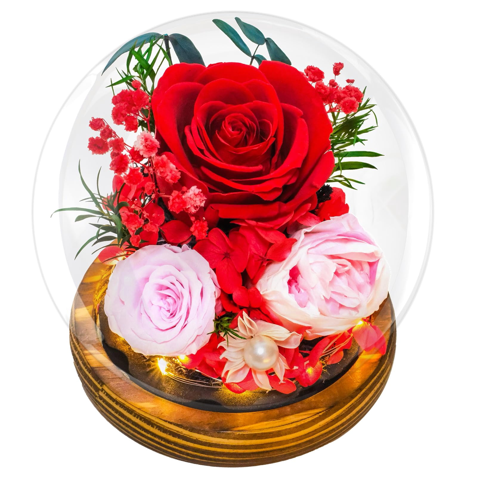 Red Roses Celebrate RENAISSANT Preserved Red Roses in Glass Dome - Eternal Flowers, Forever ...