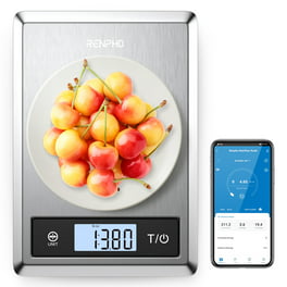 Greater Goods Nutrition Food Scale, Perfect for Weighing Nutritional Meals,  Calculating Food Facts, and Portioning Snacks 