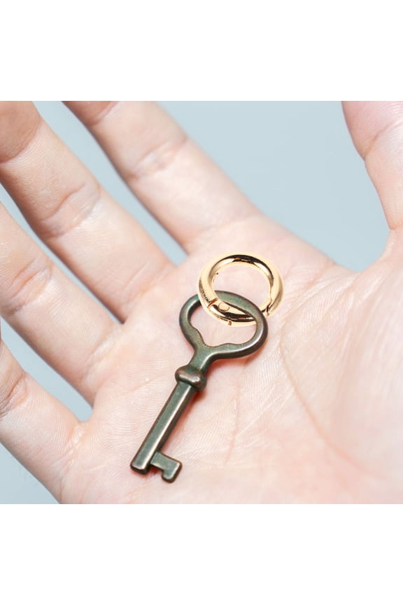 16-Pack Heavy Duty Golden Round Carabiner Clips with Spring Key for Outdoor and Everyday Use