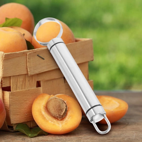 REOFLYUP 2Pcs Plated Silver Fruit Corers Kitchen Tool for Removing Peach Cores Efficiently