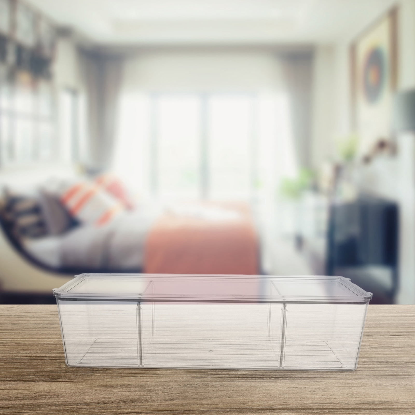 REOFLYUP Transparent PET Medium Multi-Compartment Storage Box with Lid ...
