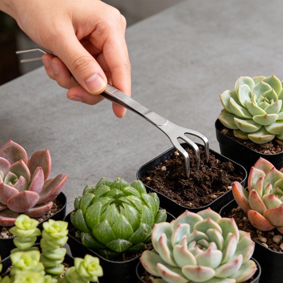 REOFLYUP Stainless Metal Root Rake with Tweezer 2-in-1 Silver Garden Tool