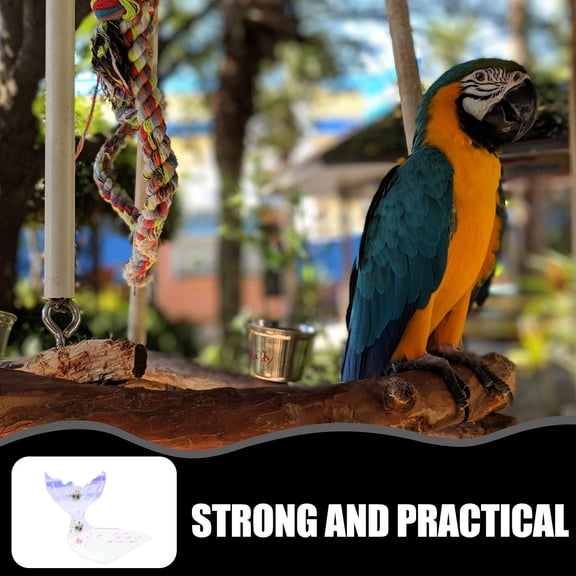 REOFLYUP Multicolor Acrylic Bird Play Stand with Safety Perch and Exercise Platform for Parrots and Small Birds