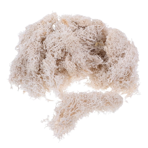 REOFLYUP Preserved Moss Crafts Dried Moss For Crafts Dark Green 1Pack For Party