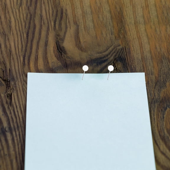 REOFLYUP White Round Head Map Pins for Fixing Notes and Maps on Cork Boards Lightweight Plastic and Iron Construction 500pcs