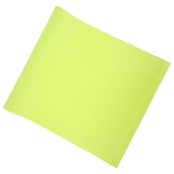 REOFLYUP bearded dragon bedding Reptile Carpet Light Green EVA 1Set for Reptile Owners