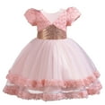 thumbnail image 1 of REORIAFEE Toddler Kids Blue Dress for Girls Stitch Lace Tulle Dress Puffy Sundress Sequin Flower Embroidered Dress Layered Rear Zipper Dress Solid Color Dress Lantern Sleeve Dress Size 110 Pink, 1 of 9
