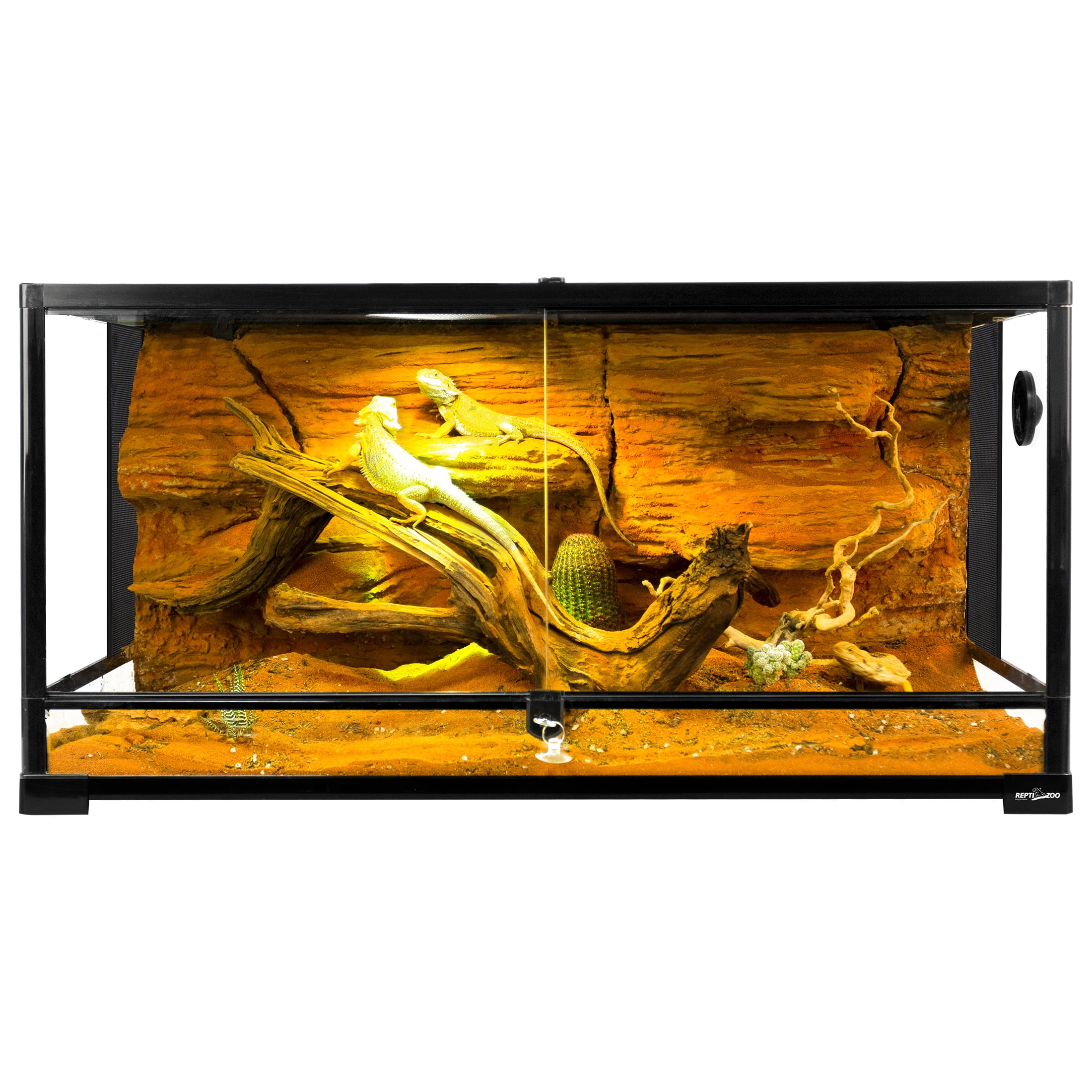 Black Glass Terrarium with Double Hinge Door and Screen Ventilation, 36" x 18" x 18"