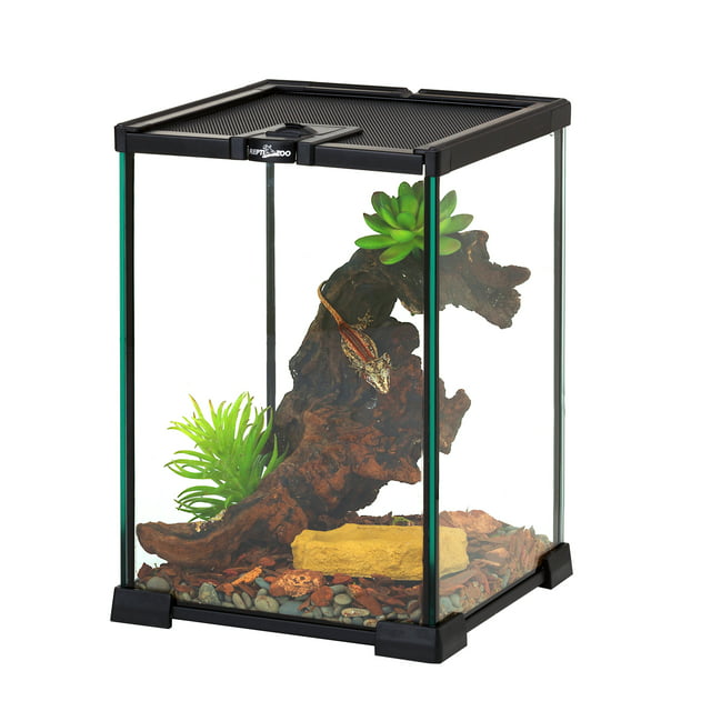 REPTIZOO 3.5 Gallon Reptile Glass Terrarium Tank - Walmart.com