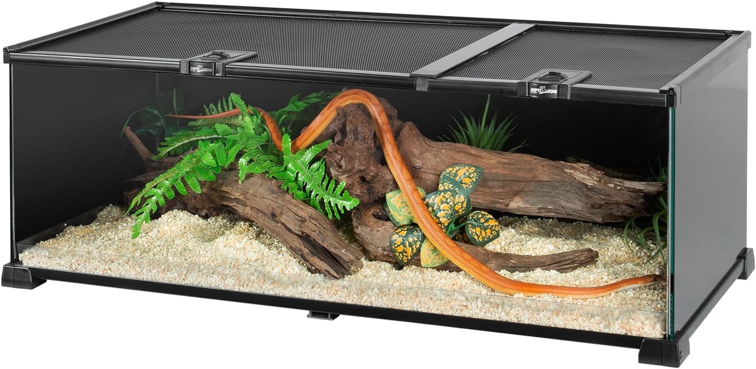 Beautiful view of Providing A Suitable Feeding Habitat For Snakes