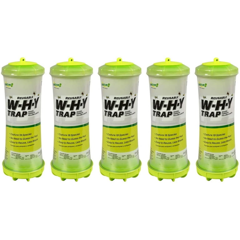 WEST. ウェッシャーツ!!!!!!!緑 WEST. ウェッシャーツ!!!!!!!緑 WEST. ウェッシャーツ!!!!!!!緑 楽天