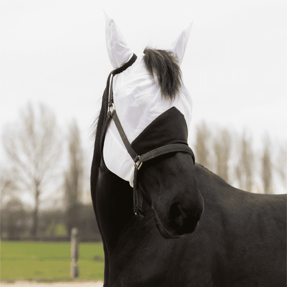 Resistance Horse Fly Mask with Ears, Fine Mesh Material - Ultimate Insect Defense