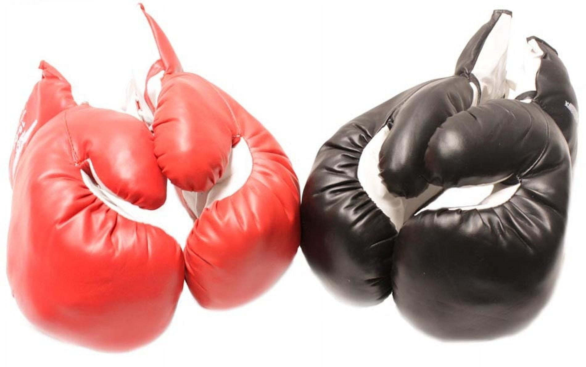 REX 2 Pair of New Boxing/Punching Gloves and Fitness Training Red and Black - 16 Oz.